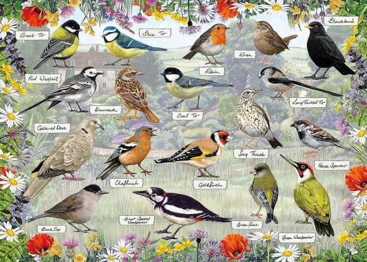 Gibsons puzzle RSPB: Boldog madarak 1000 darab