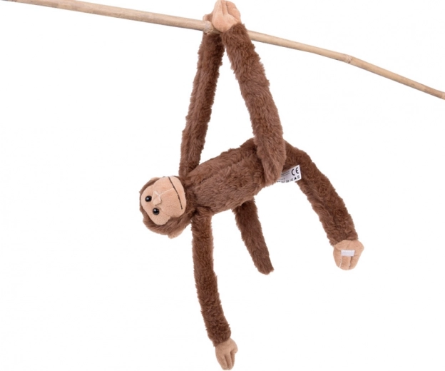 Ragasztós tappancsok a végtelen szórakozáshoz