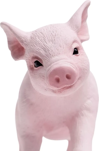 Ideális méret gyerek kézbe és gyűjteménybe