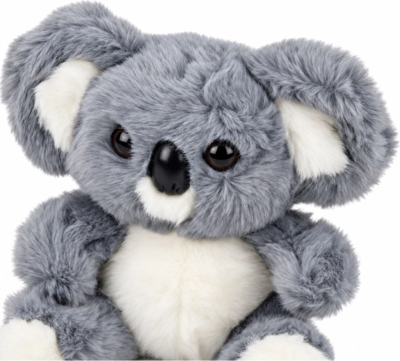 A koala aranyos kidolgozása