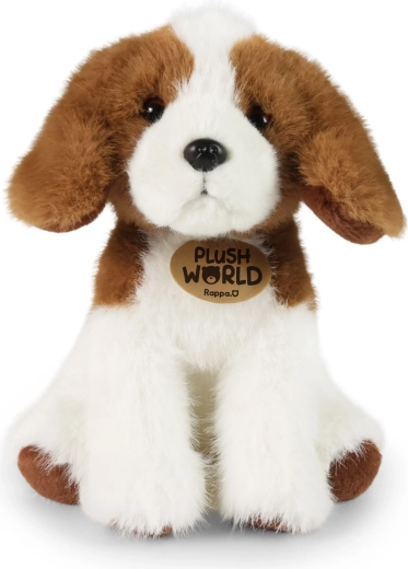 A kedvelt beagle hű megjelenése