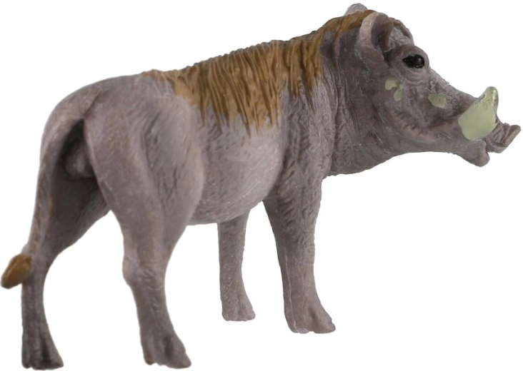 Az afrikai fauna megismerése