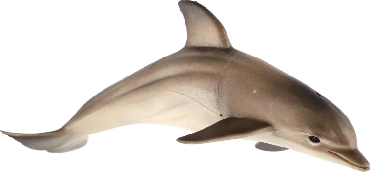 A delfin realisztikus kialakítása