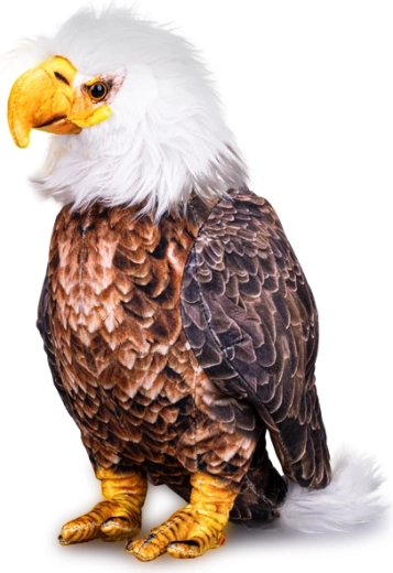 Plüss fehérfejű rétisas 30 cm