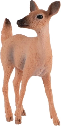 Kompakt méret
