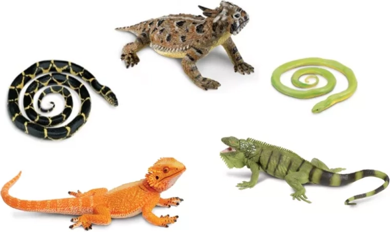 Safari Ltd. kígyók és gyíkok – 5 figurából álló készlet
