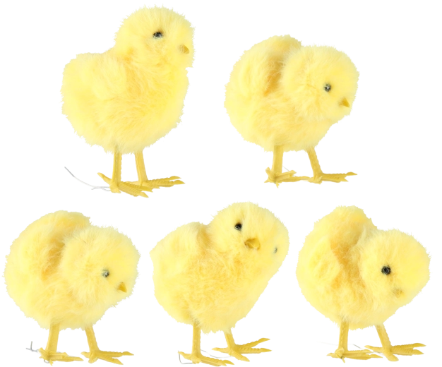 10 darabos készlet 5 dizájnban