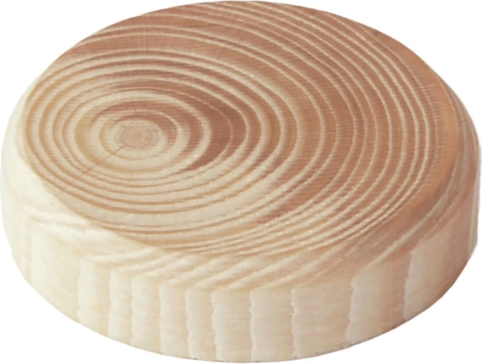 Fából készült csomódugók 25 × 7 mm, 20 db