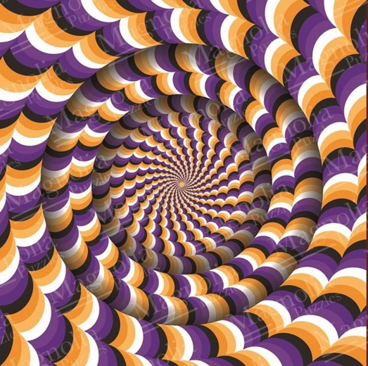 Optikai illúzió puzzle 1023 darab MAGNOLIA