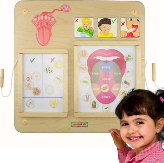 Masterkidz Montessori oktatótábla – Ízlelés