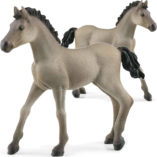 Criollo Definitivo figura, Csikó