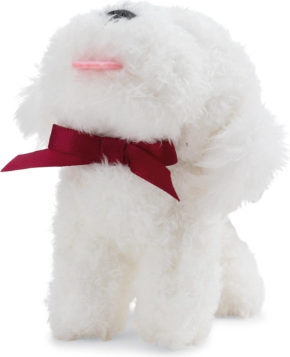 Bájos bichon masnival