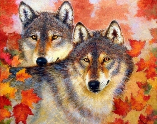 Norimpex számfestő készlet Farkas és nőstényfarkas 40 × 50 cm