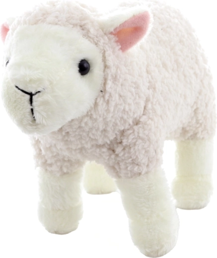 Könnyű és helytakarékos otthonra és útra