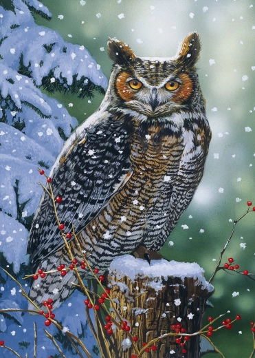 Puzzle Csendes megfigyelő 500 darabos ALIPSON