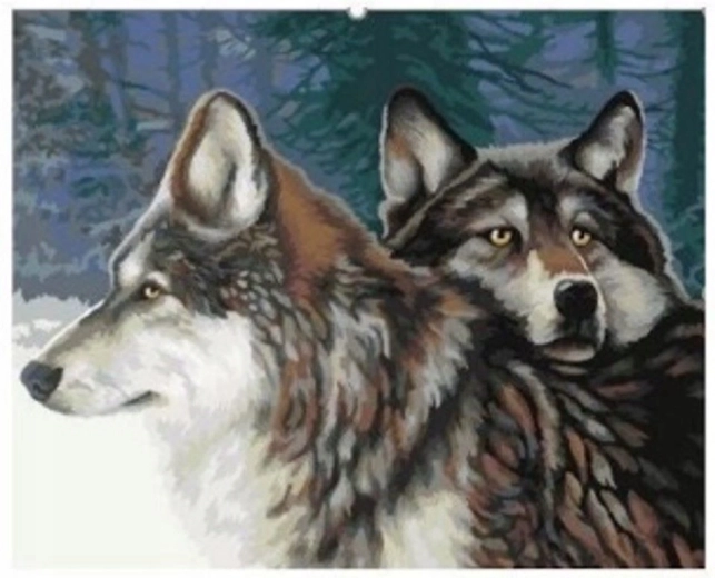 Számfestő készlet Farkasok az erdőben 40 × 50 cm