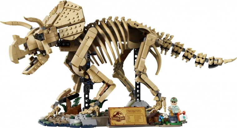 A triceratops részletgazdag csontváza, kiállítási modellként