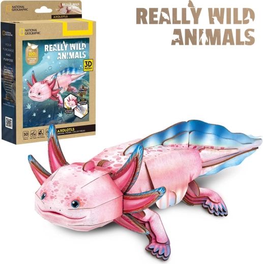 CubicFun 3D puzzle National Geographic: Axolotl, 50 darab