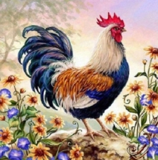 Norimpex Festés számok szerint – Kakas virágok között 40 × 50 cm