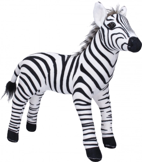 Zebra matrica 36 × 33 cm
