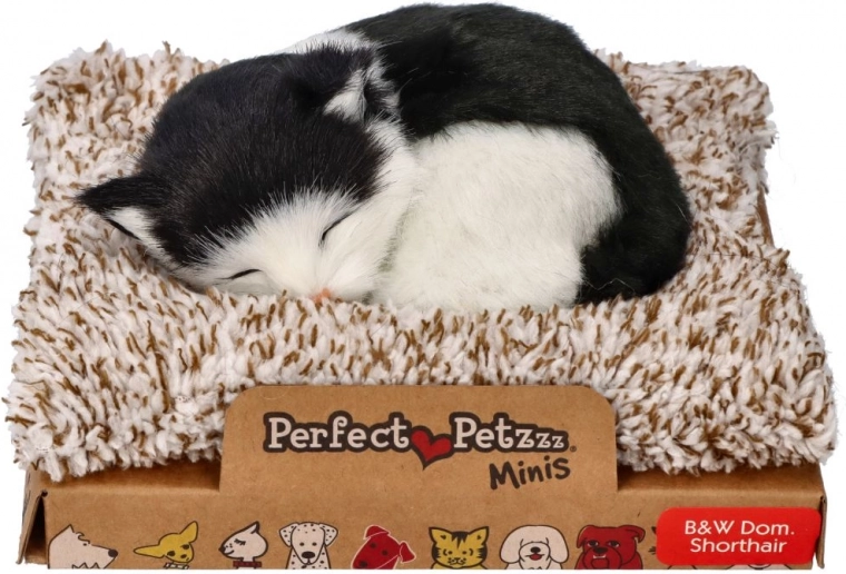 Perfect Petzzz fekete-fehér macska fekhelyen