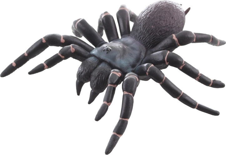 Ideális tanuláshoz és dekorációhoz