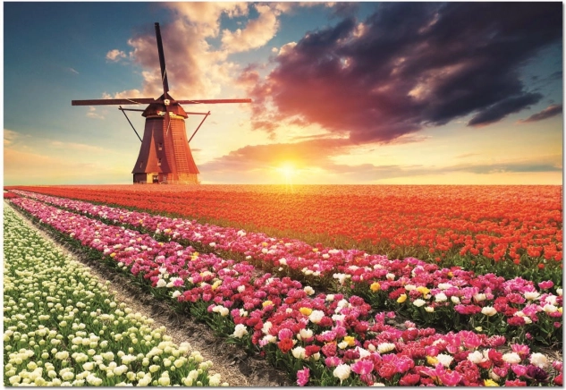 EDUCA Tulipánföld bolygó 1500 darabos puzzle