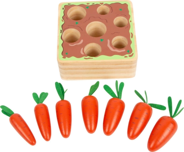 Hét különböző méretű sárgarépa