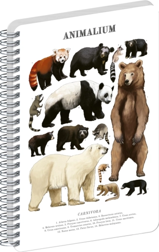 Notique Animalium spirálfüzet – medvefélék, sima (vonalazatlan), A4