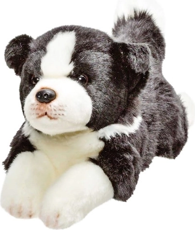 Plüss border collie kutya 30 cm