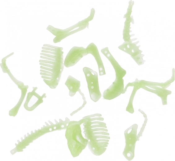 Állítsd össze a saját dinoszauruszodat