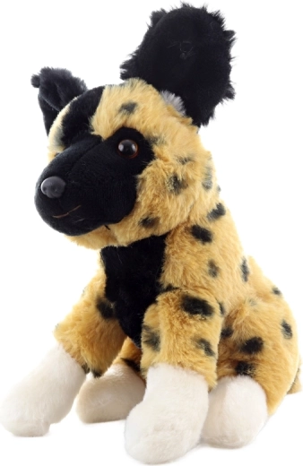 Kompakt méret otthonra és útra