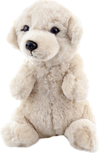 Biztonságos újszülött kortól