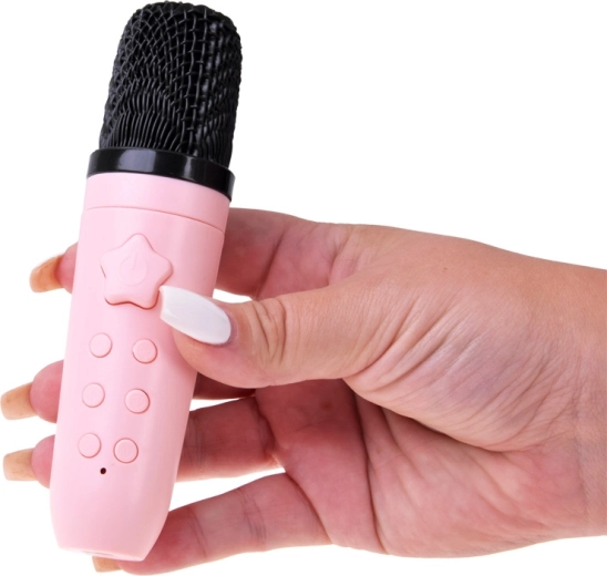 Karaoke mikrofon vezérléssel és hangváltoztatással