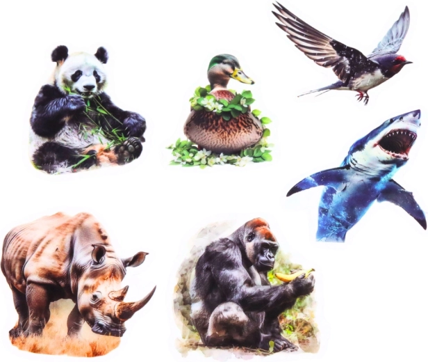 Átlátszó háttér a letisztult megjelenésért