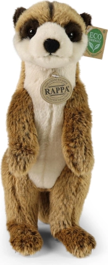 Biztonságos és ölelgetnivaló az első naptól