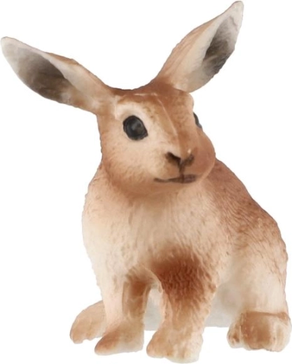 Kompakt, 6 cm-es méret