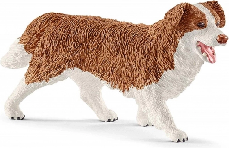 Gondoskodás Ruby kutyussal