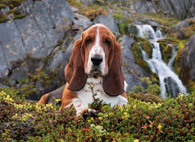 1000 darab az örömért és a koncentráció edzéséért