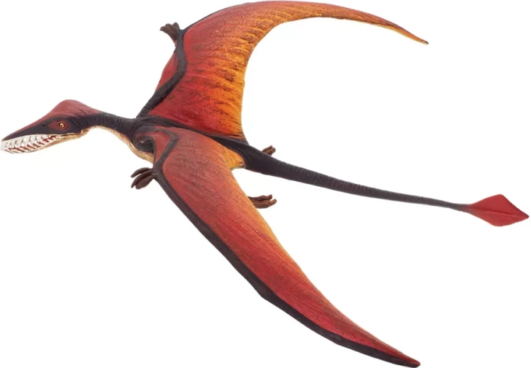 Safari Ltd. ramphorhynchus - 1 db