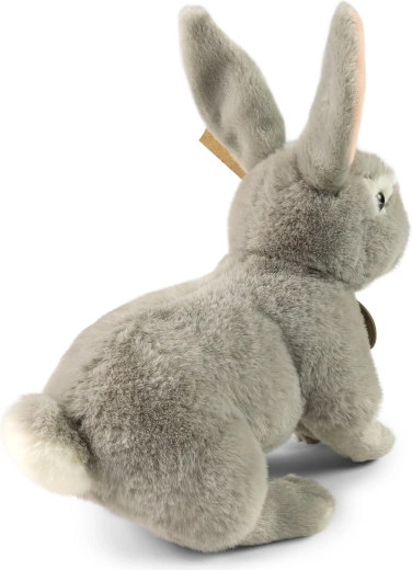 SOFT COLLECTION puhasága