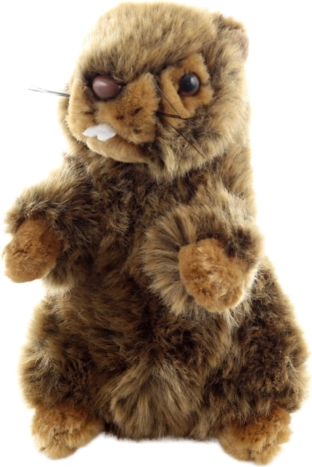 Környezetbarát kivitel