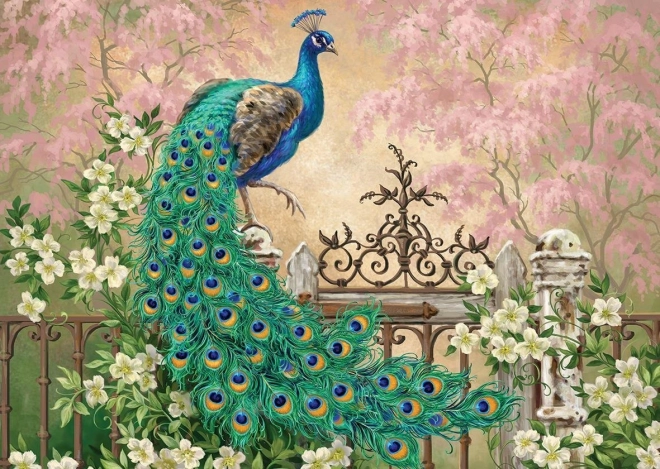 Páva puzzle 260 darabbal