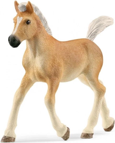 Haflingi csikó figura