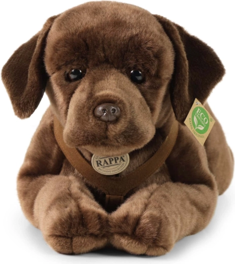 KÖRNYEZETBARÁT töltet PET-palackokból