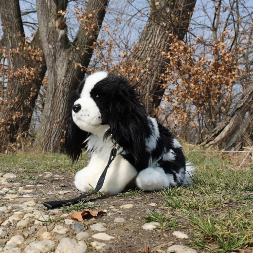 Póráz a sétáltatós játékhoz