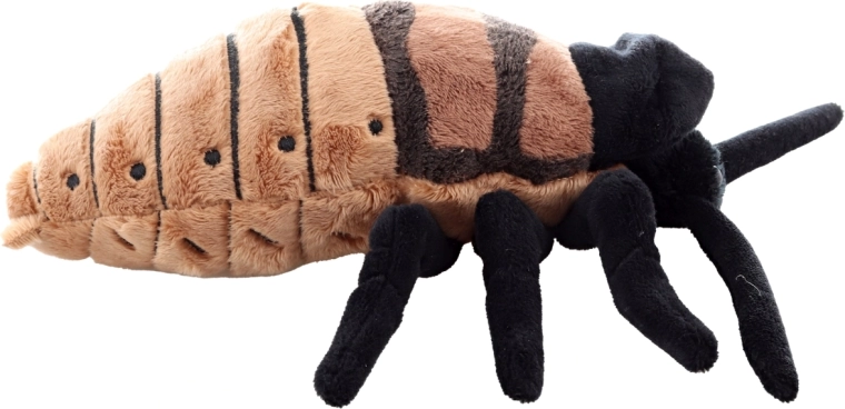 Realista dizájn részletgazdag kidolgozással