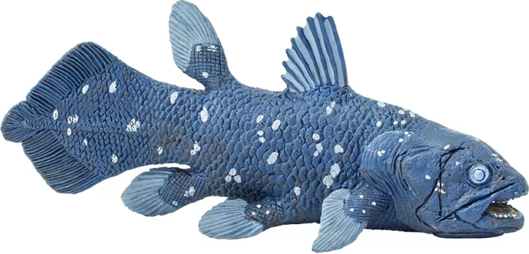 Safari Ltd. furcsa bojtosúszós hal (Latimeria) figura – 1 db
