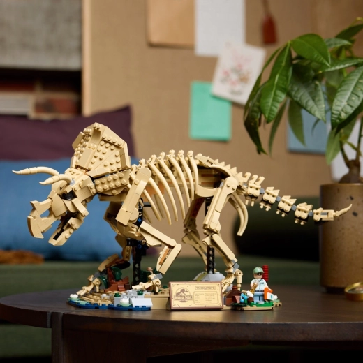 Talapzat, névtábla és gyűjtői kiegészítők a Jurassic Parkból