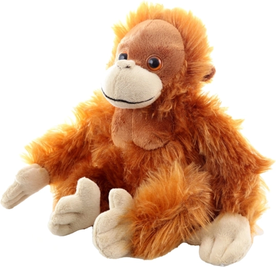 Cuki részletek és minőségi kivitel